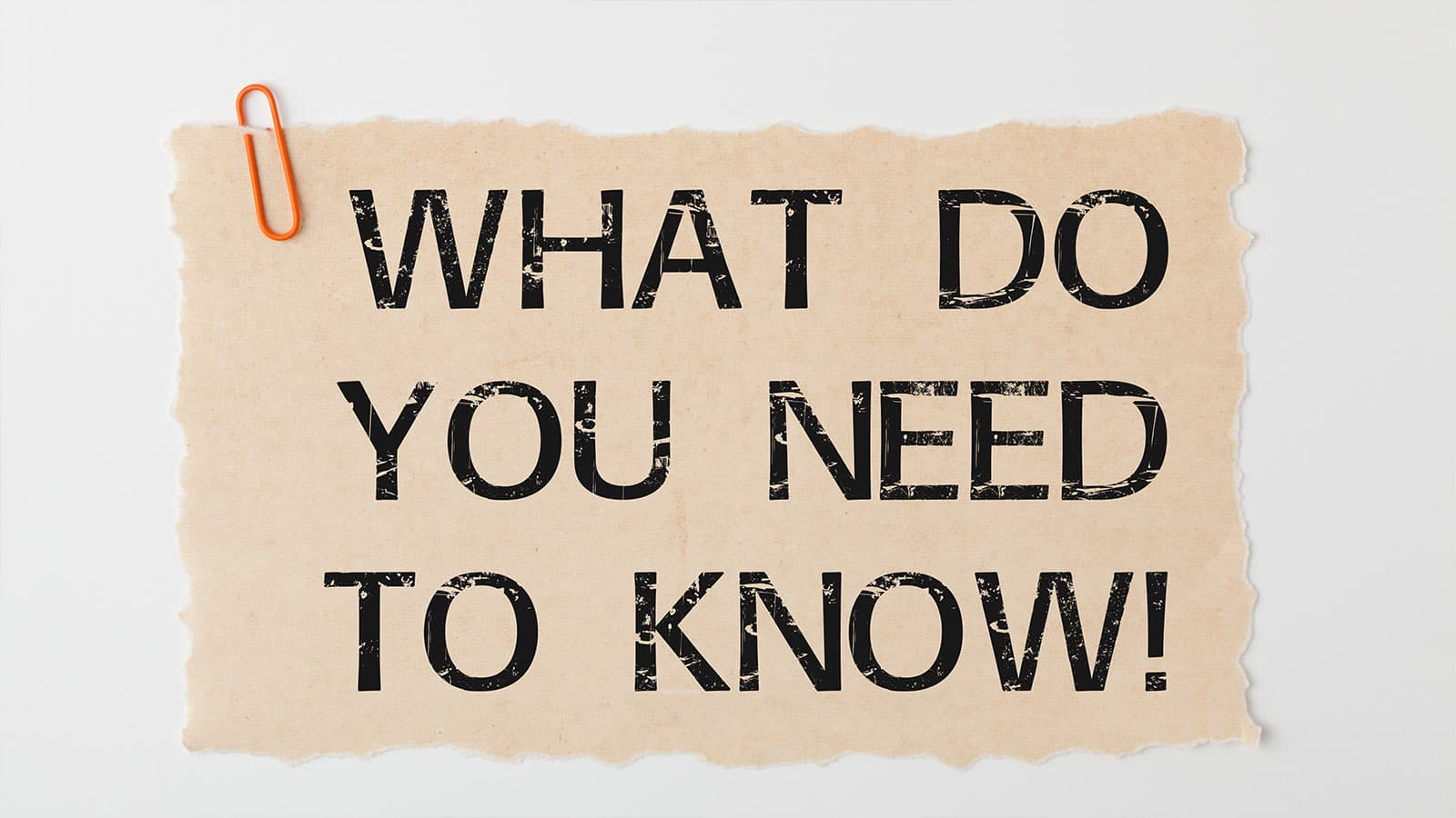 A torn note reading 'What do you need to know!' held by an orange paperclip